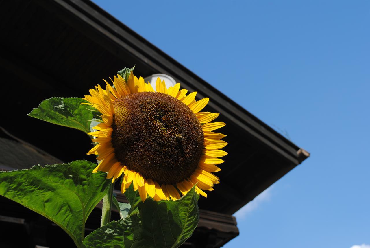 Naturhaus Andrea Großarl Exterior foto